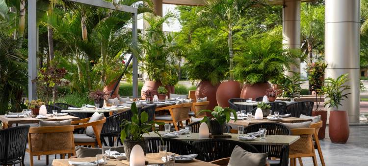 卢萨卡丽笙酒店(Radisson Blu Hotel, Lusaka)图片