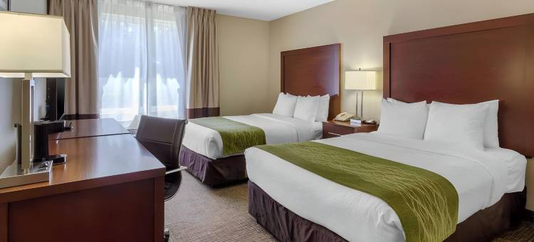 北圣彼得堡舒适酒店(Comfort Inn St Petersburg North)图片