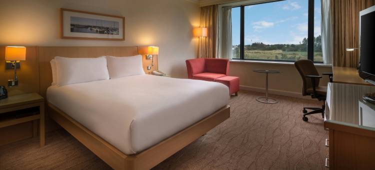都柏林机场希尔顿酒店(Hilton Dublin Airport)图片