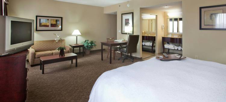 希尔顿欢朋套房酒店-伯灵顿(Hampton Inn & Suites Burlington)图片