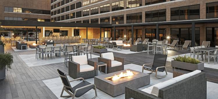 希尔顿休斯顿广场/医疗中心酒店(Hilton Houston Plaza/Medical Center)图片