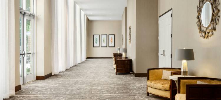 夏洛特南园希尔顿花园酒店(Hilton Garden Inn Charlotte/SouthPark)图片