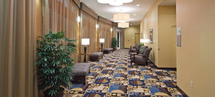 泰特斯维尔/肯尼迪航天中心假日酒店(Holiday Inn TITUSVILLE - KENNEDY SPACE CTR by IHG)图片