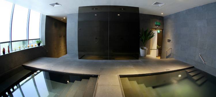 新加坡乌节泛太平洋高级服务公寓(Pan Pacific Serviced Suites Orchard, Singapore)图片