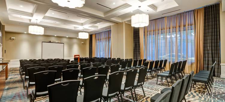 芝加哥市中心壮丽大道希尔顿花园酒店(Hilton Garden Inn Chicago Downtown/Magnificent Mile)图片