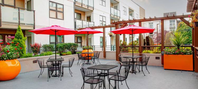 希尔顿欢朋套房酒店-西雅图市区(Hampton Inn & Suites Seattle-Downtown)图片