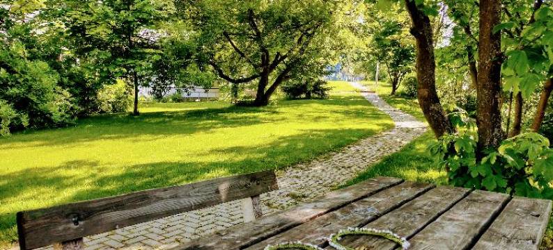 大学酒店(University Hotel)图片