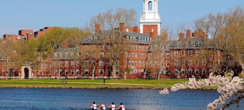 波士顿纽顿福朋喜来登酒店(Four Points by Sheraton Boston Newton)图片