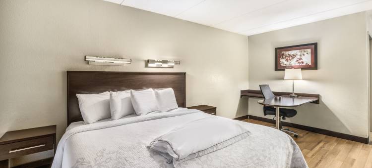 波士顿沃本伯灵顿红顶PLUS酒店(Red Roof Plus+ Boston - Woburn/ Burlington)图片