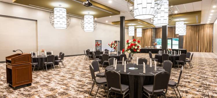 Holiday Inn 罗阿诺克 - 望谷(Holiday Inn ROANOKE AIRPORT-CONFERENCE CTR by IHG)图片