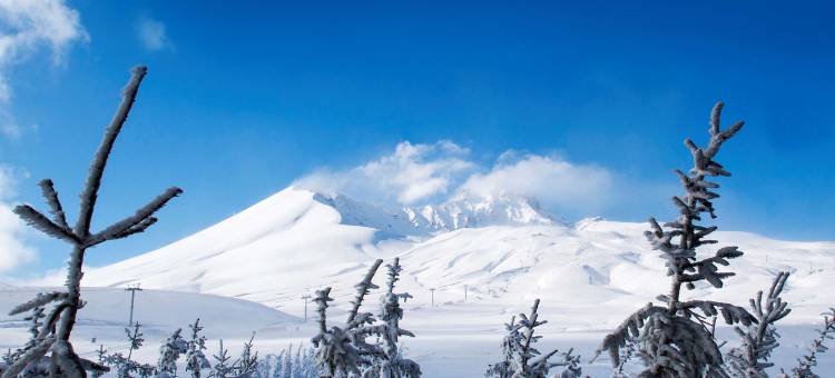 埃尔西耶斯山丽笙酒店(Radisson Blu Hotel, Mount Erciyes)图片