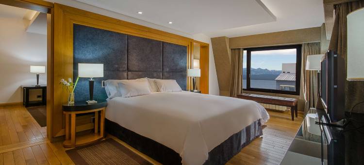 巴里洛切埃德尔威斯NH酒店(NH Bariloche Edelweiss)图片