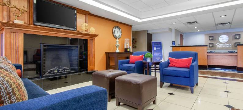 诺曼大学附近舒适套房酒店(Comfort Inn & Suites Norman Near University)图片