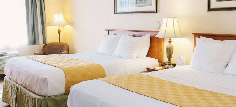 拉维什套房旅馆(Lavissh Inn and Suites)图片