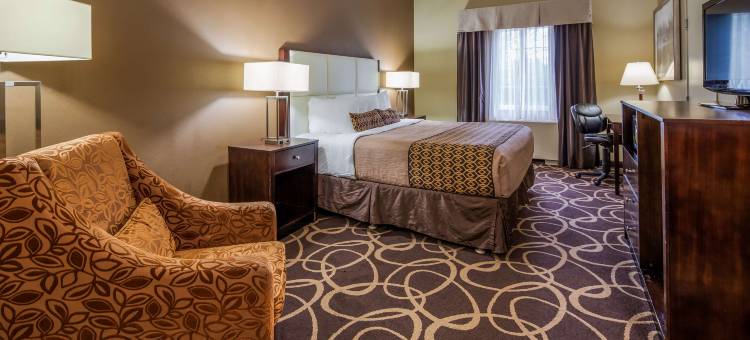 先驱者公园贝斯特韦斯特优质酒店(Best Western Plus Pioneer Park Inn)图片