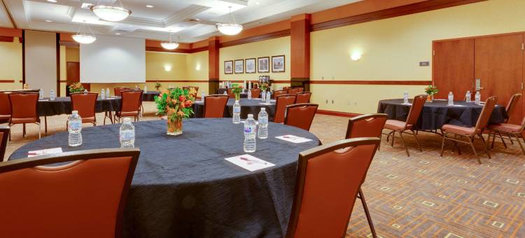 圣路易斯-近森林公园德鲁里套房酒店(Drury Inn & Suites St. Louis Forest Park)图片