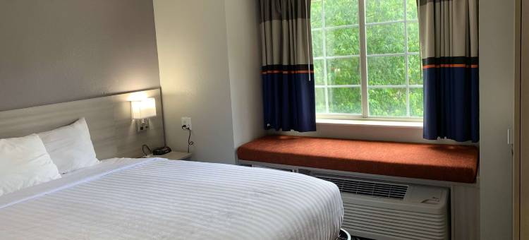 Microtel Inn & Suites by Wyndham Charlotte Airport图片