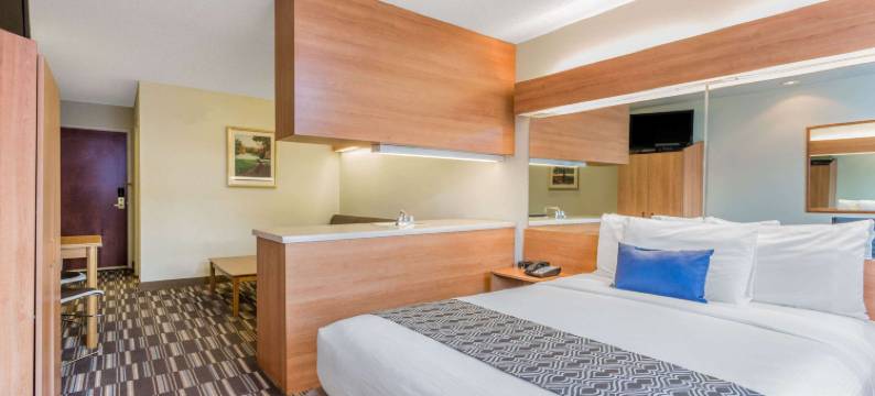 利灵顿-近坎贝尔大学麦客达套房酒店(Microtel Inn & Suites by Wyndham Lillington / Campbell Univ)图片