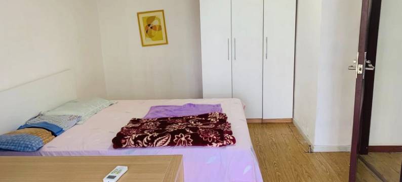 田子坊人民广场南翔上大花园洋房711号公寓(金迎路分店)图片