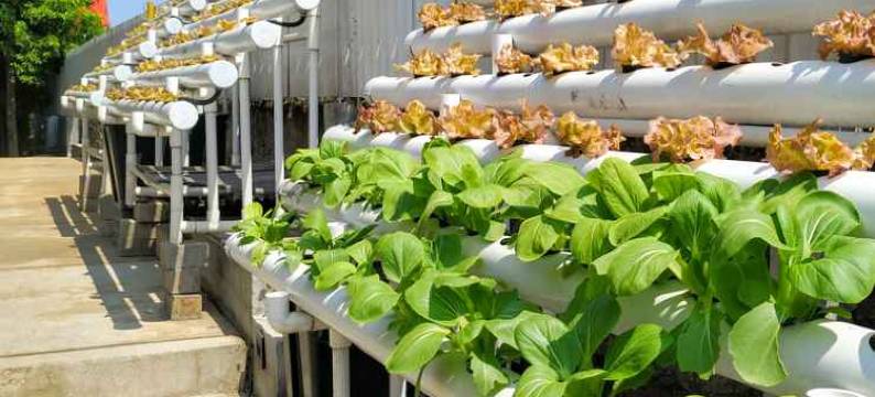 TechieRoom Kotlin at Clove Garden Residence图片