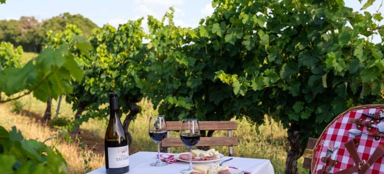 陶兹城堡原生酒店(Château de Tauzies, the Originals Relais)图片