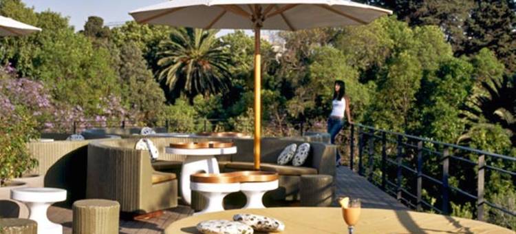 DF康德萨，Design Hotels™设计酒店成员(Condesa df, Mexico City, a Member of Design Hotels)图片