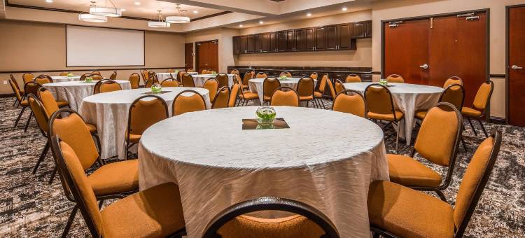 邓肯维尔达拉斯贝斯特韦斯特优质酒店(Best Western Plus Duncanville Dallas)图片