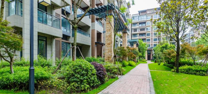 都江堰公寓青城山下熊猫谷三居室山景房民宿(水泽路1号分店)图片