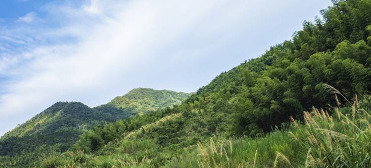 九华山太遇度假民宿图片
