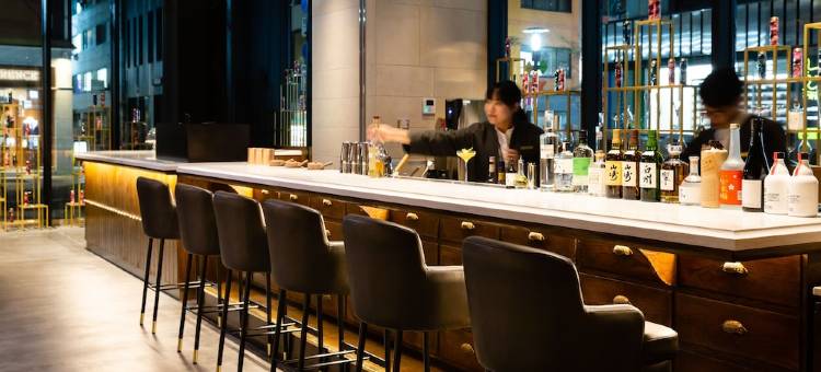 东京银座8皇家花园CANVAS酒店(The Royal Park Canvas - Ginza 8)图片