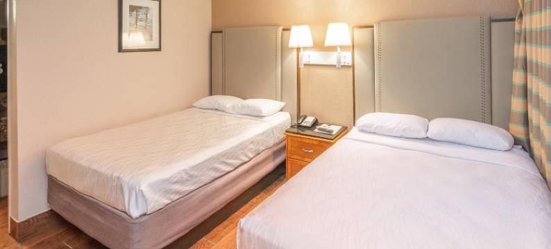 尤马伊克诺套房旅馆(Econo Lodge Inn & Suites)图片