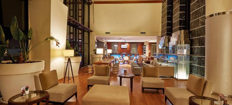 安尼蒙酒店-埃斯基谢希尔(Anemon Grand Eskişehir Otel)图片