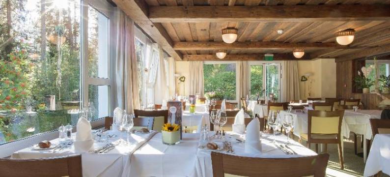 阿罗撒太阳之星酒店(Sunstar Hotel Arosa)图片