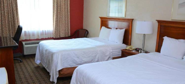 Buckeye 快捷旅馆(Buckeye Inn Express)图片