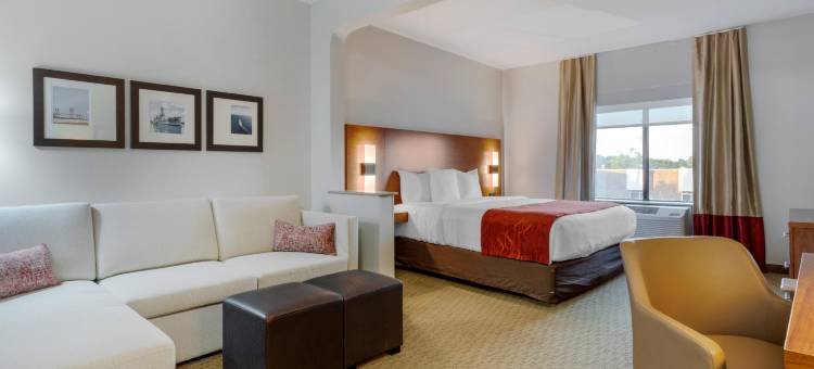 拉波特舒适套房 - 贝敦(Comfort Suites la Porte - Baytown)图片