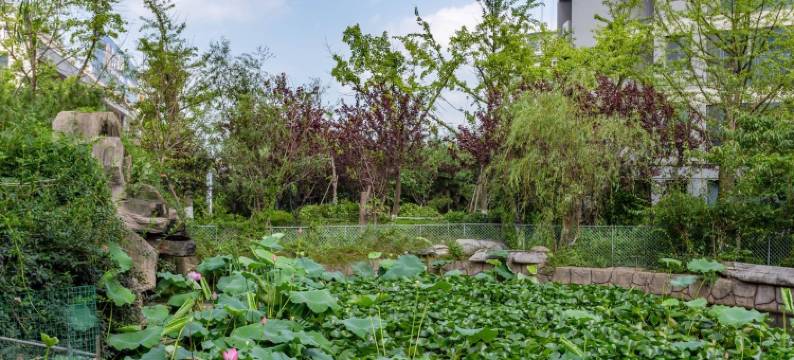 大斌斌的民宿(黄海三路分店)图片