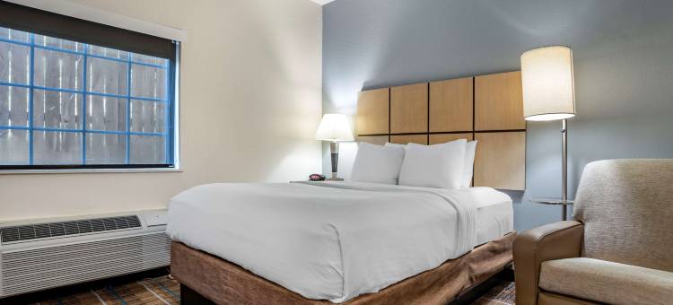 德纳姆德伍德泉酒店(MainStay Suites Denham Springs - Baton Rouge East)图片