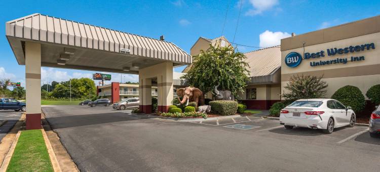 公园广场贝斯特韦斯特汽车旅馆(Best Western University Inn)图片