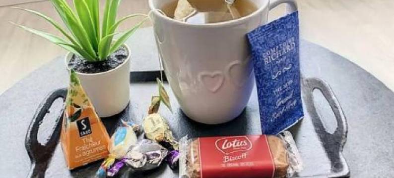 Super Studio Tout équipé Wifi 2Pers图片