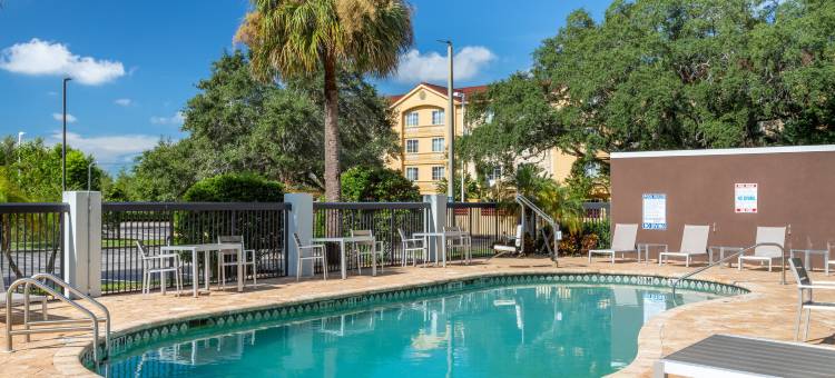 坦帕北部假日酒店(Holiday Inn Tampa North)图片