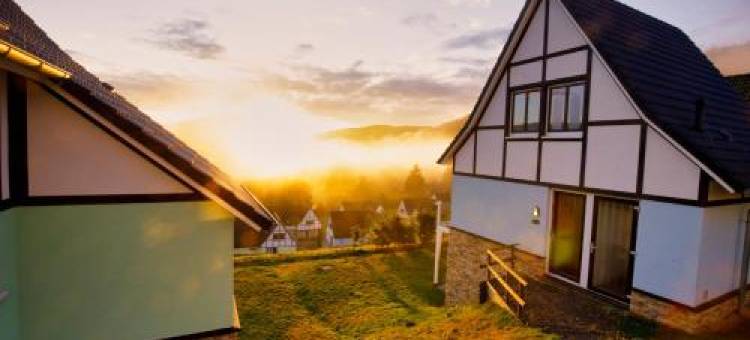 Dormio resort Eifeler Tor图片