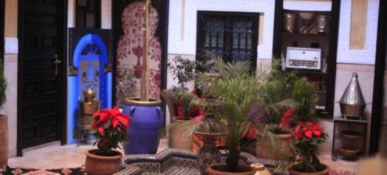 多加住宿加早餐旅馆(Riad Douja)图片