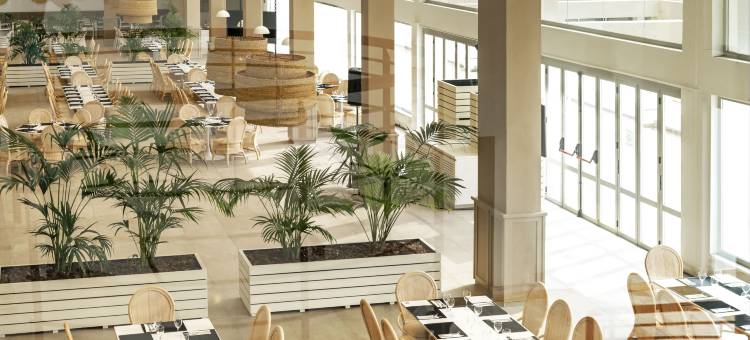 卡波加达花园酒店(Hotel Cabogata Jardín)图片