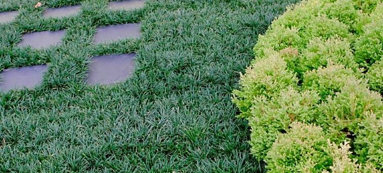 名铁Inn酒店-知多半田站前(Meitetsu Inn Chita Handa Ekimae)图片