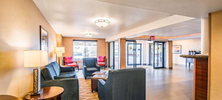 福尔斯彻奇舒适酒店-泰森斯角(Comfort Inn Falls Church - Tysons Corner)图片