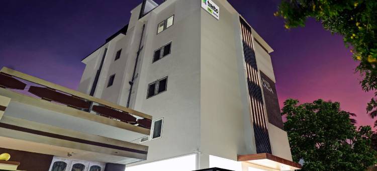 Treebo 拉加(Treebo Raga)图片