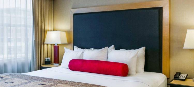 柯林斯堡坎布里亚酒店(Cambria Hotel Ft Collins)图片