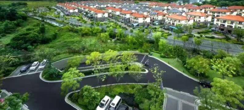 舟山朱家尖风林雅居民宿图片