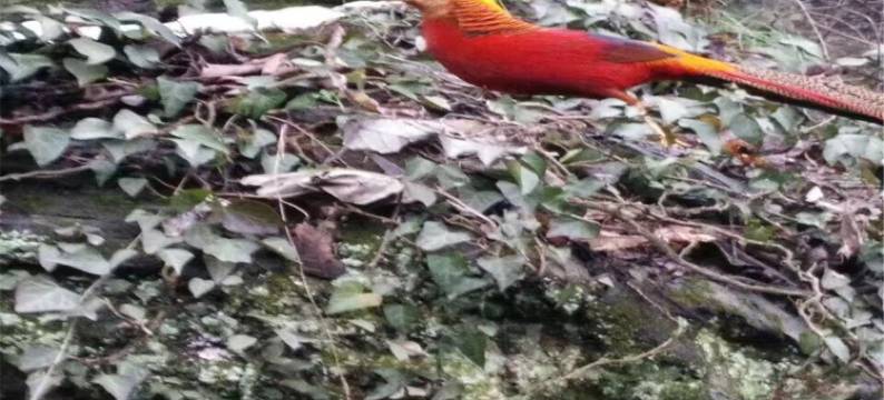 武当山多来精品民宿(民营东街分店)图片