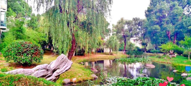 陪君看夕阳公寓(天目路分店)图片